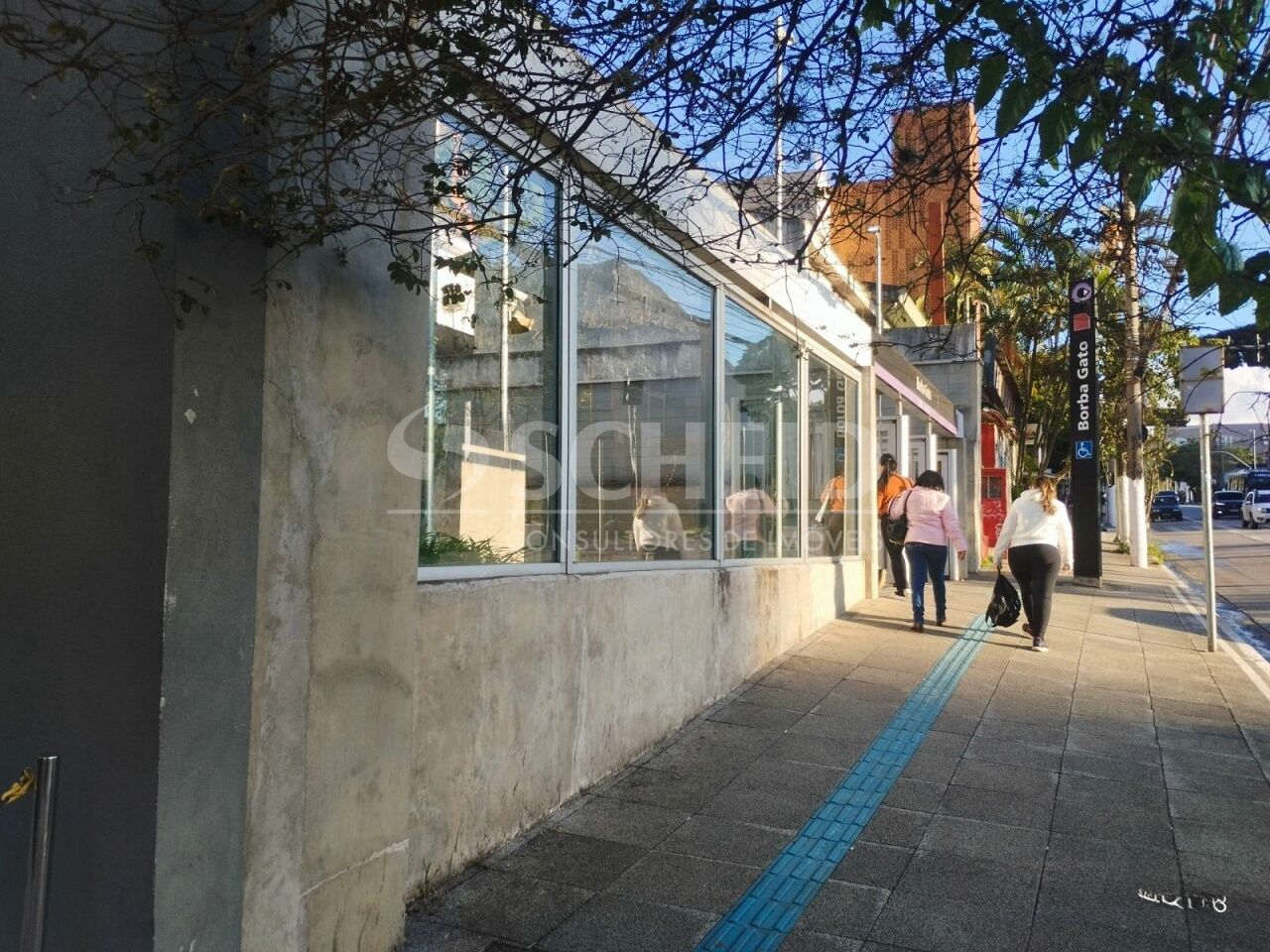 Foto 19