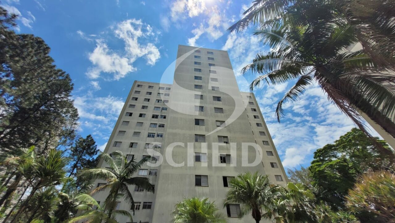 Foto 46