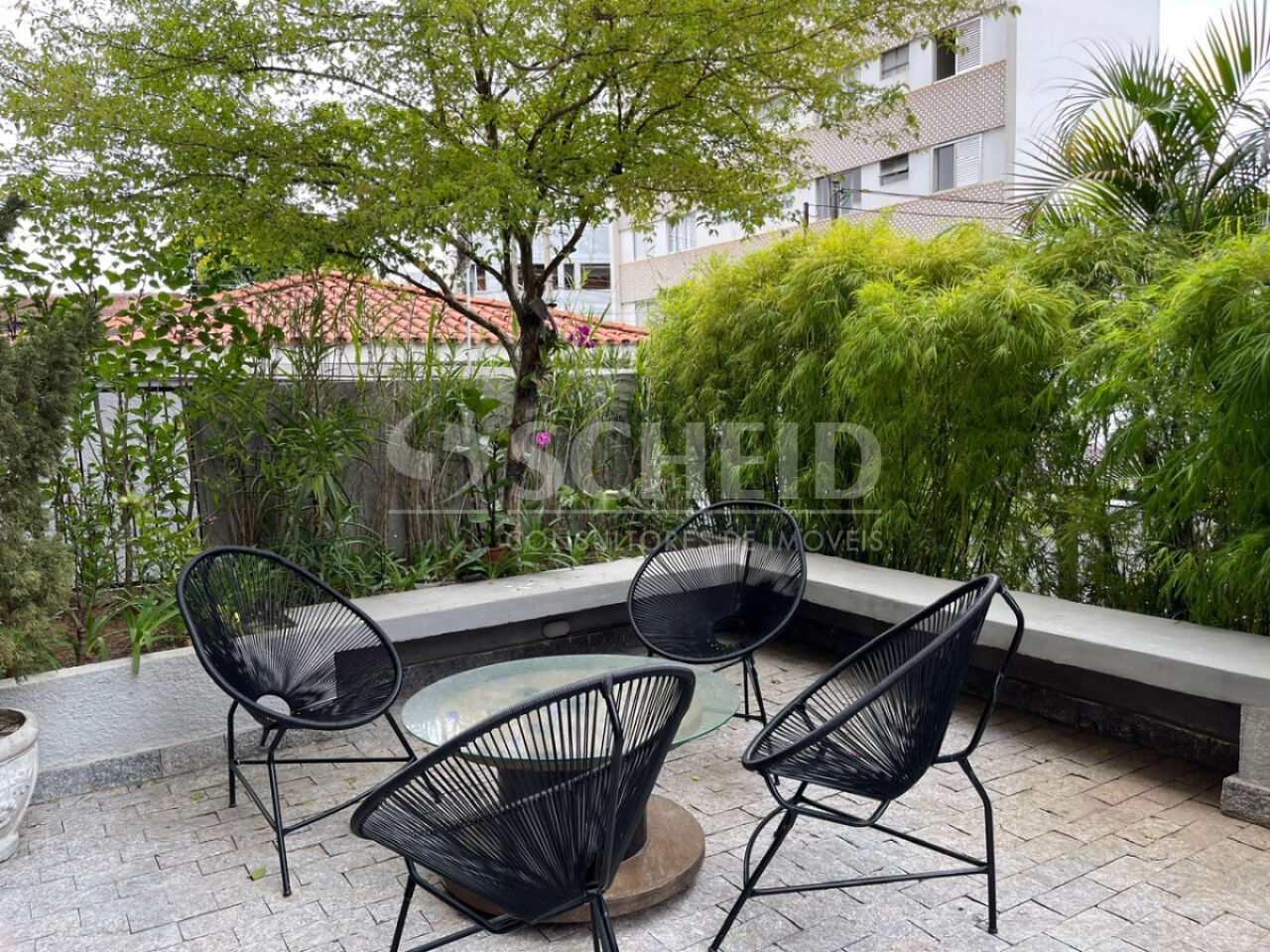 Foto 20