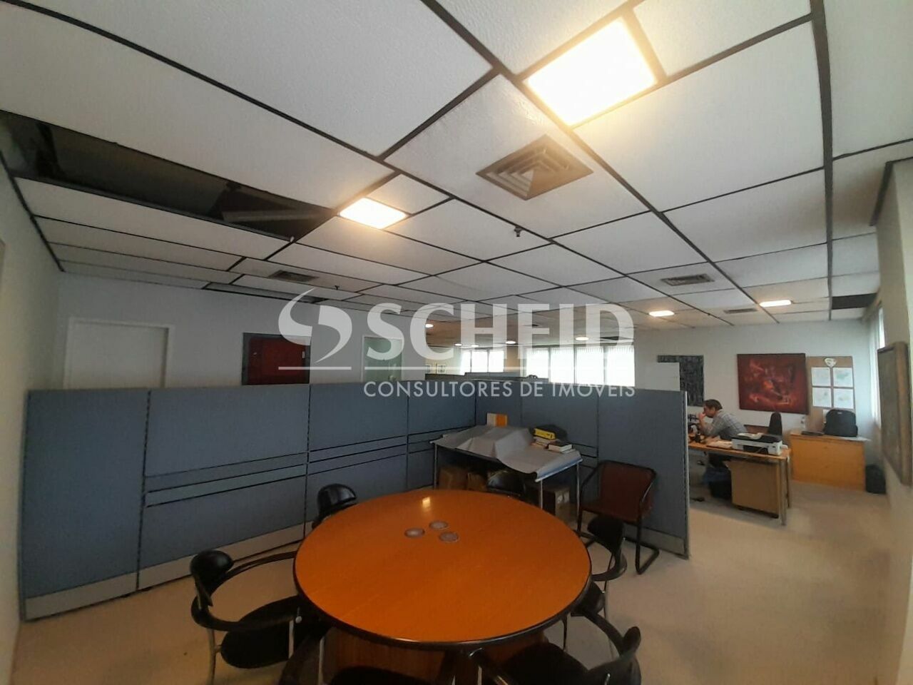 Foto 7