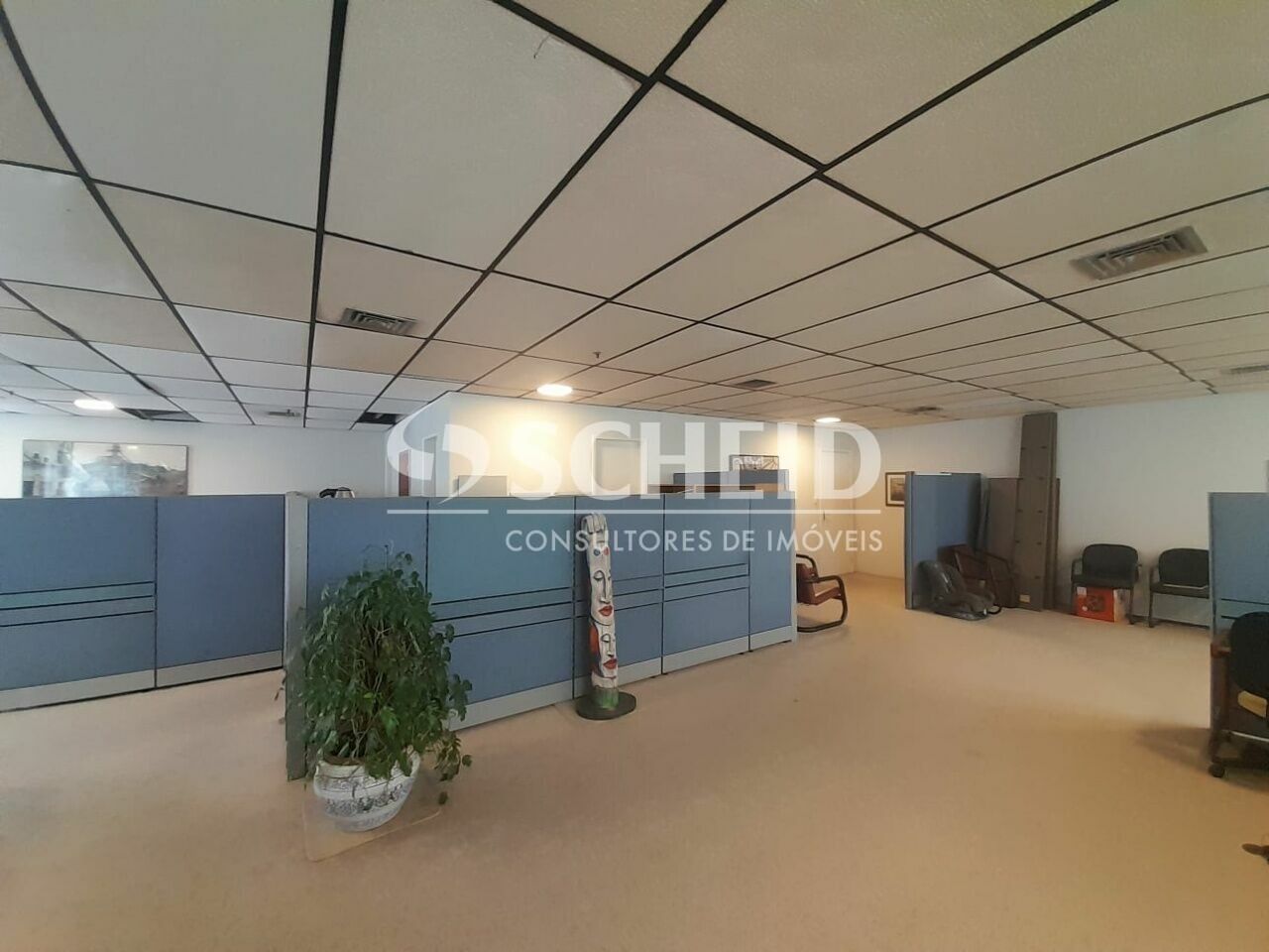 Foto 20
