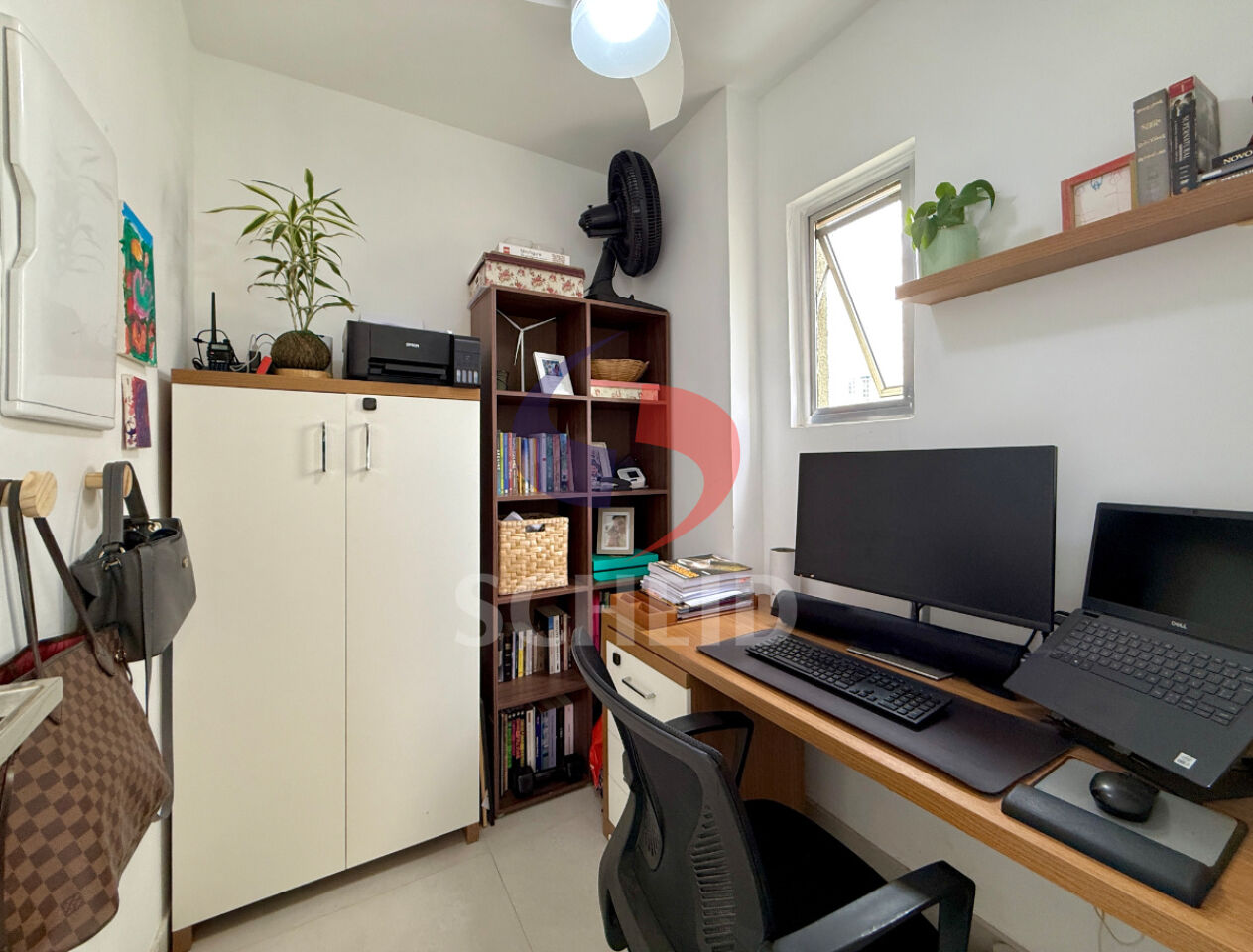 Foto 7