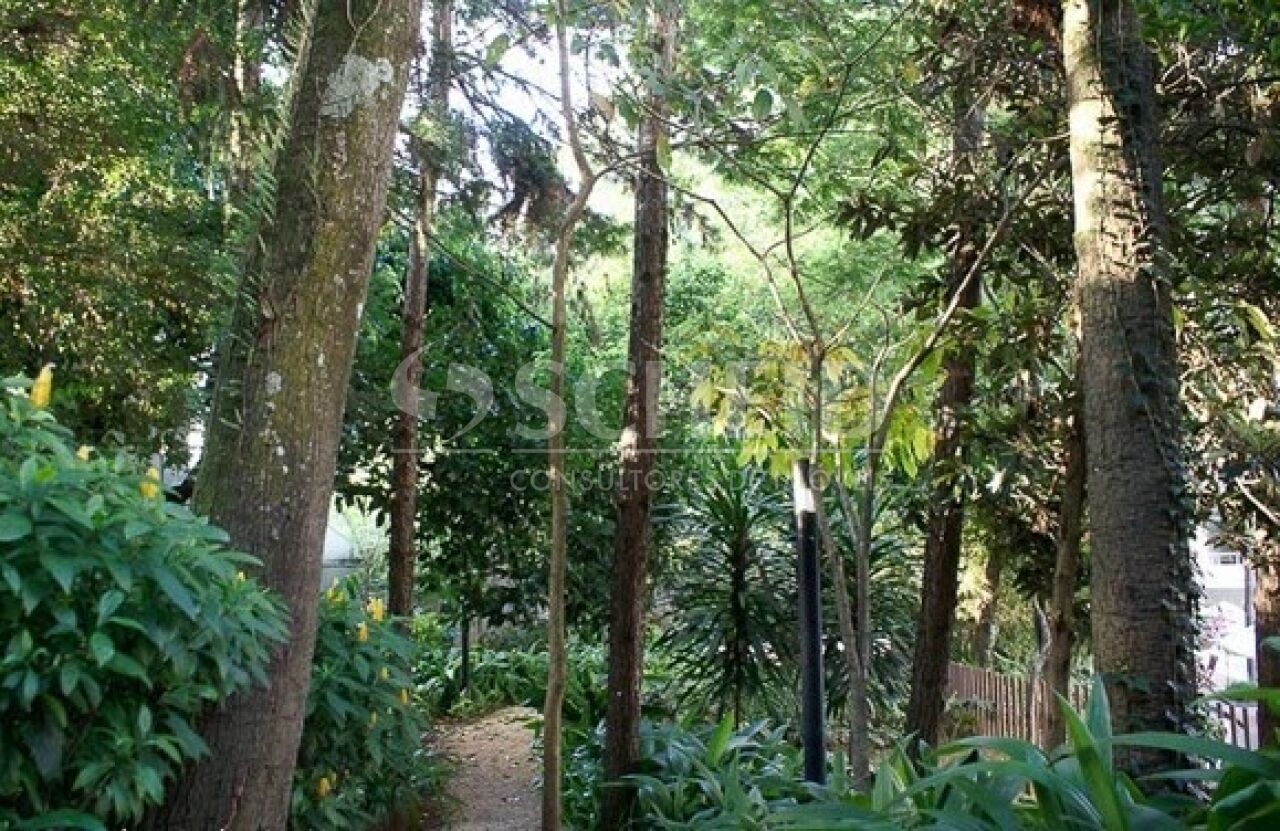 Foto 31