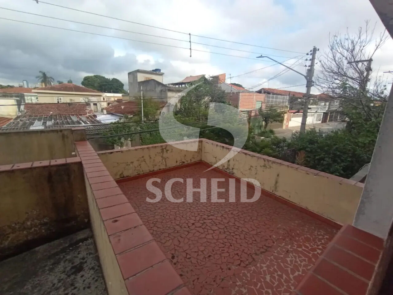 Foto 41