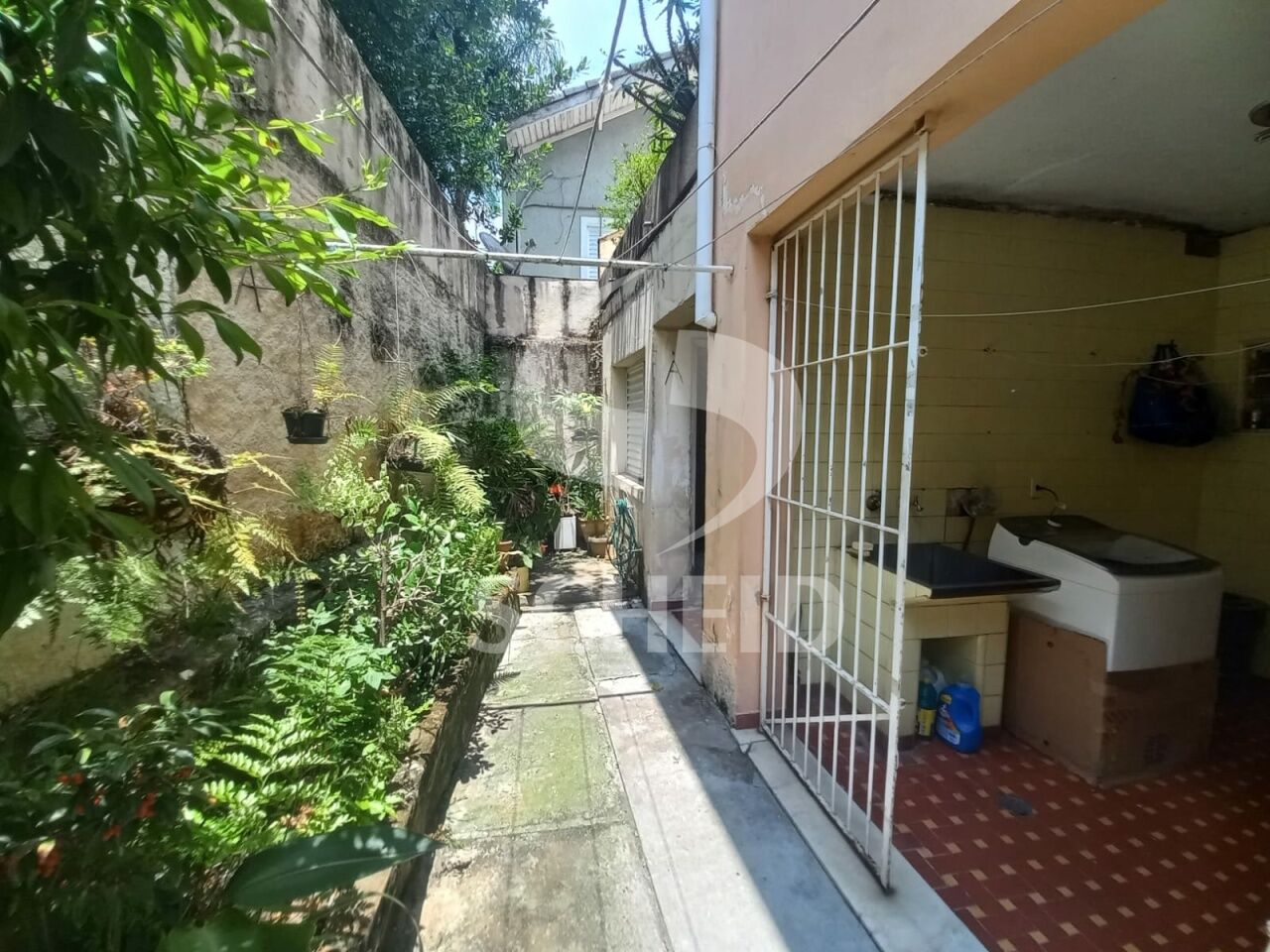 Foto 17