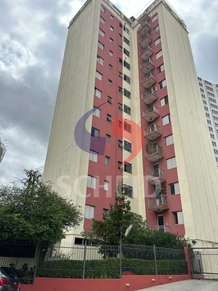 Foto 19