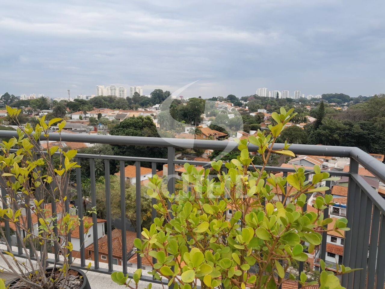 Foto 9
