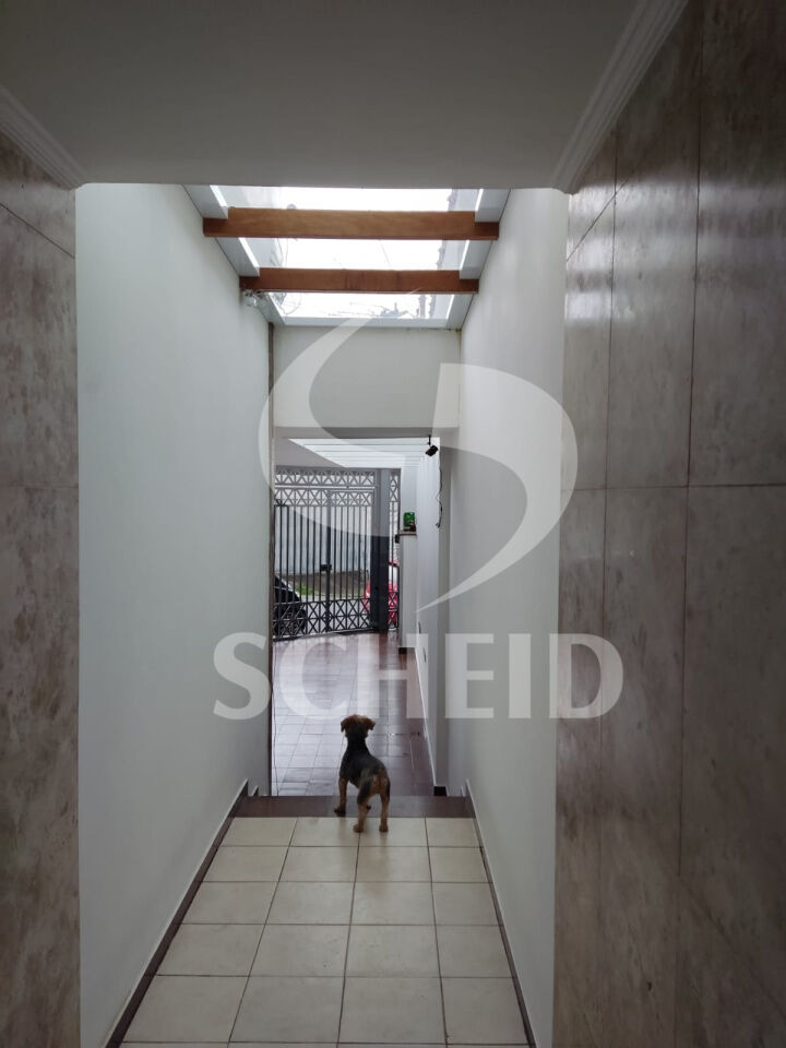 Foto 43