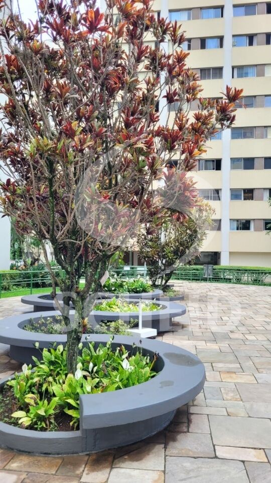 Foto 36