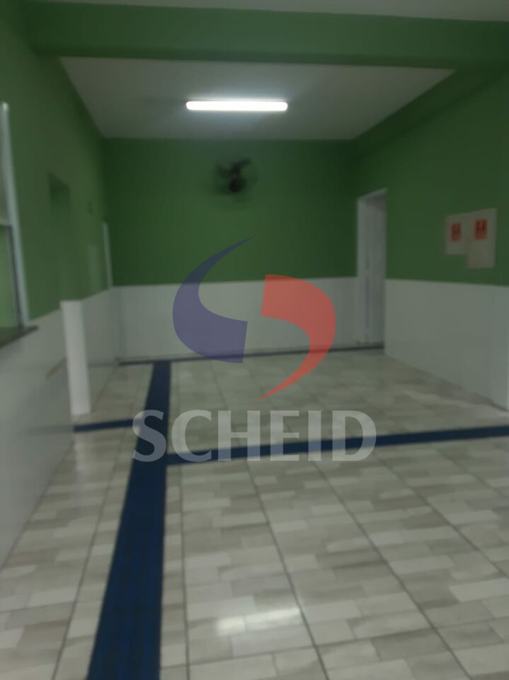 Foto 41