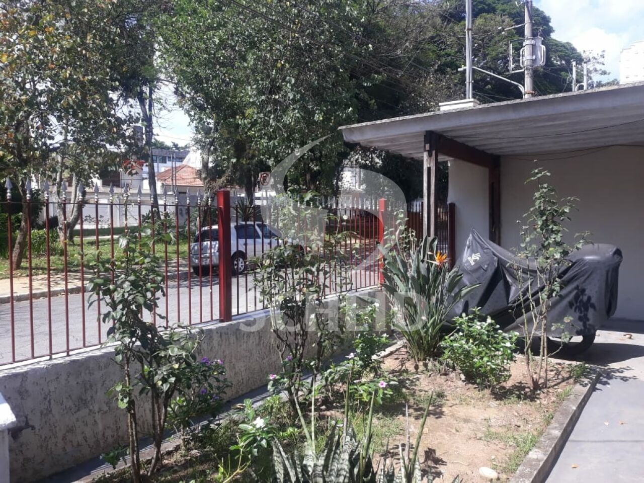 Foto 1