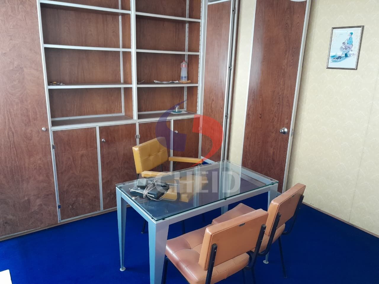 Foto 7
