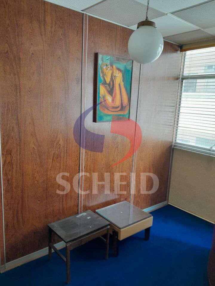 Foto 19