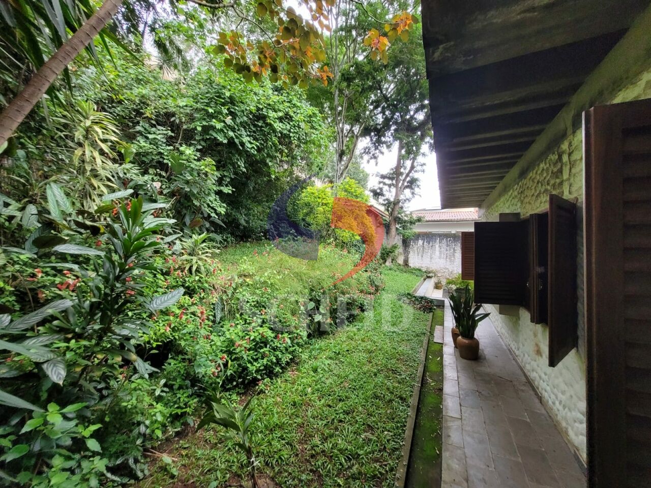 Foto 21