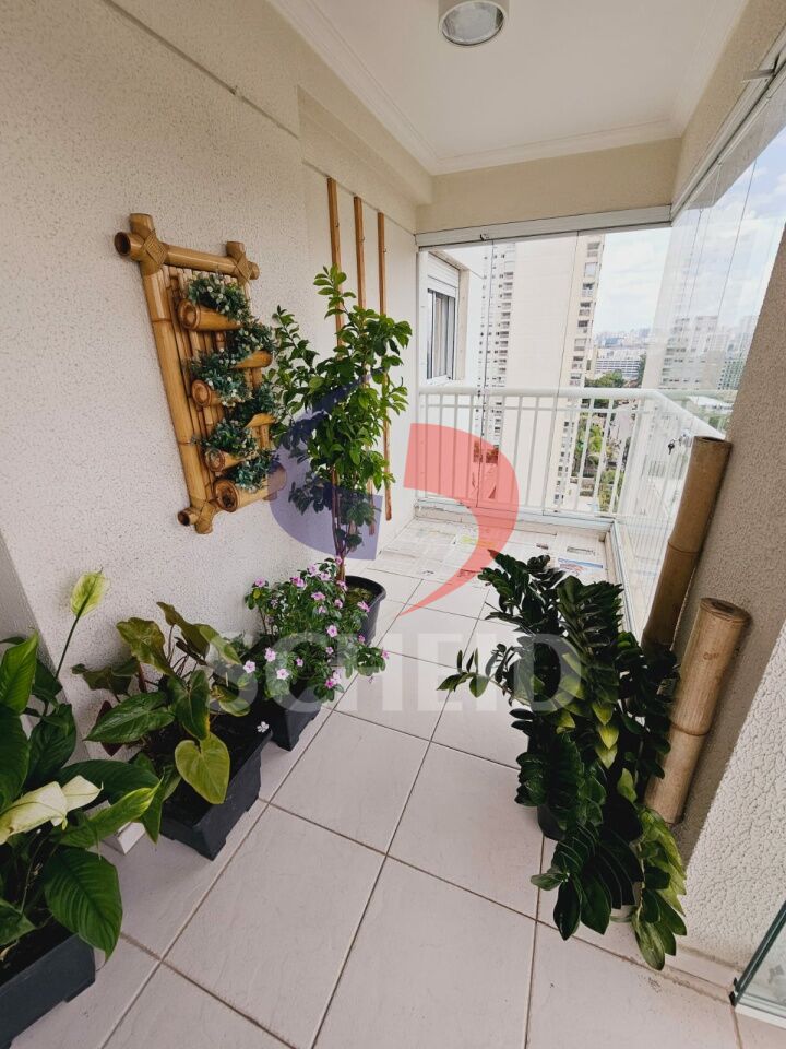 Foto 12