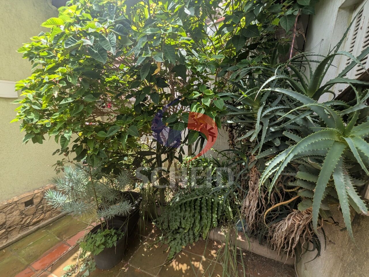 Foto 19