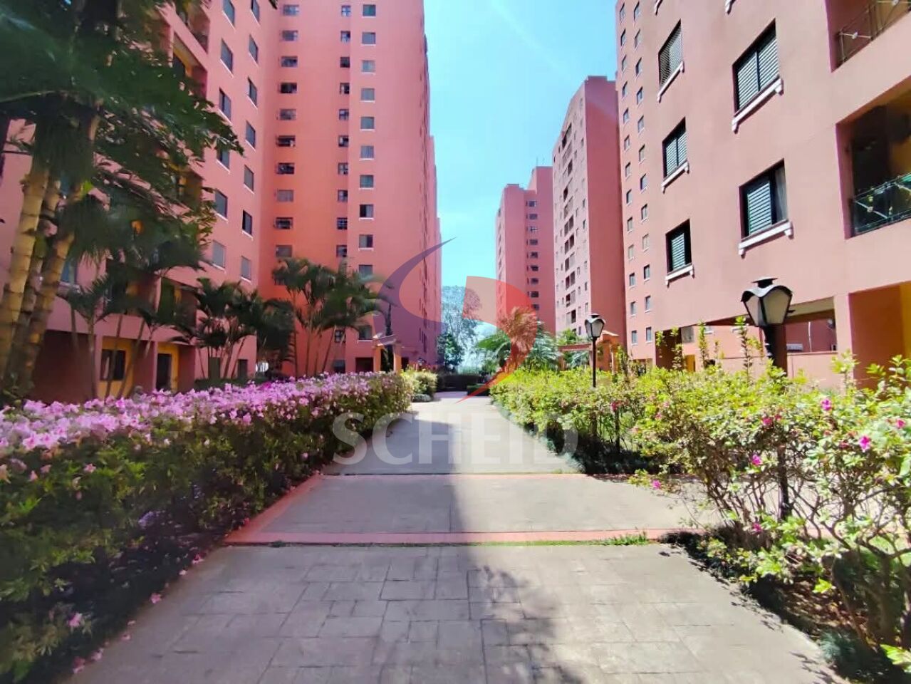 Foto 30