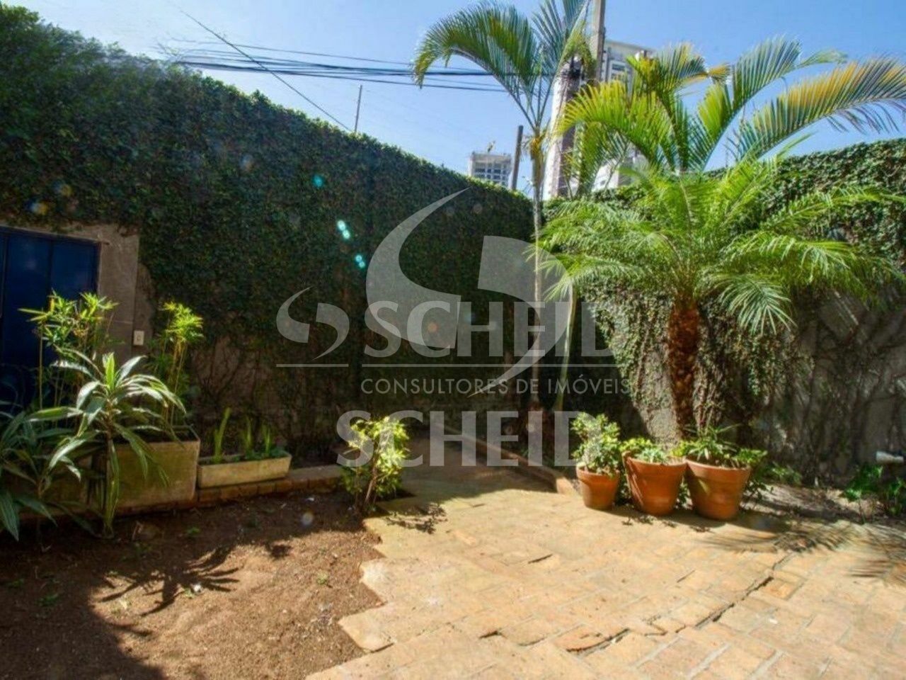 Foto 19