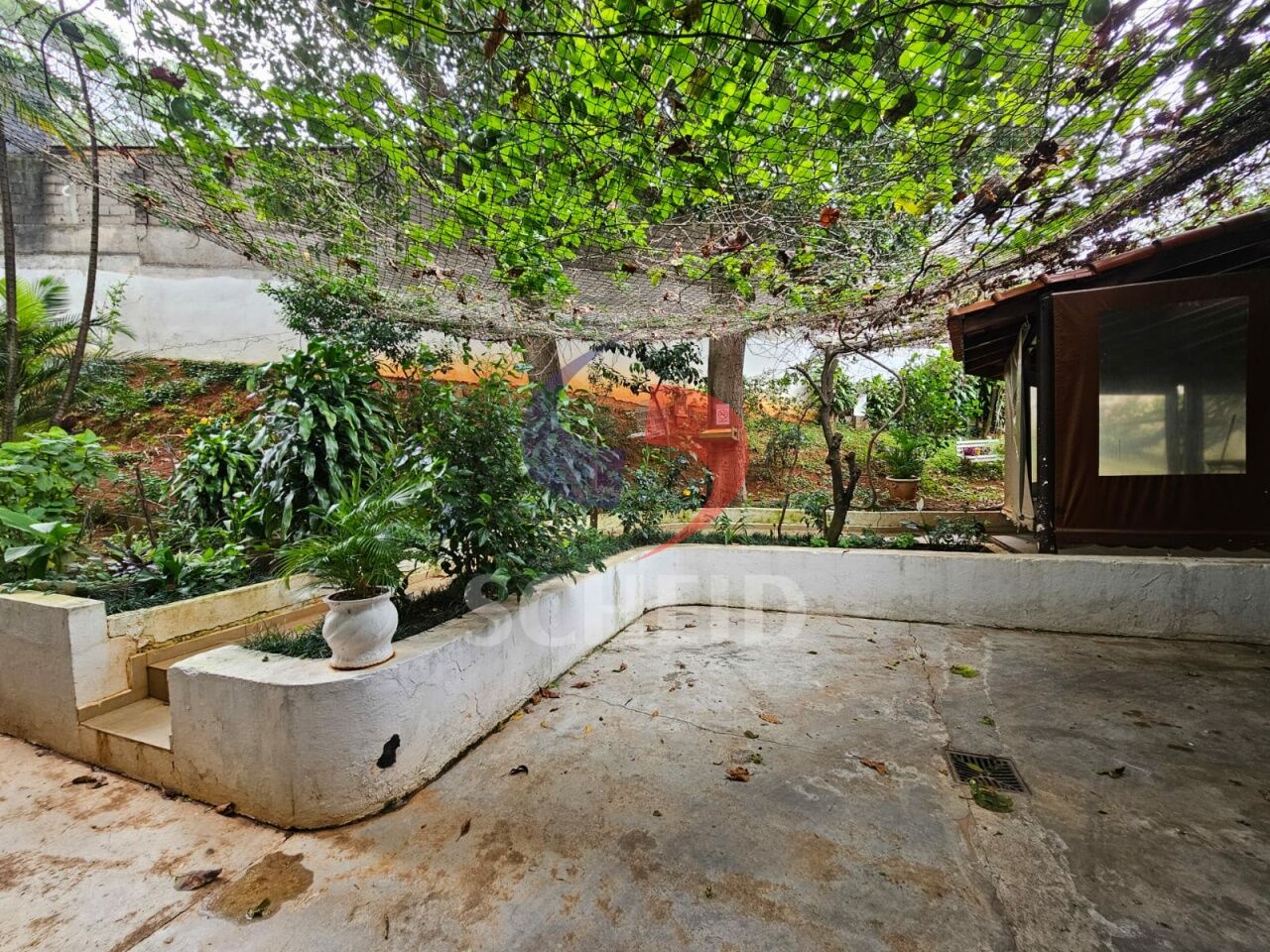 Foto 19