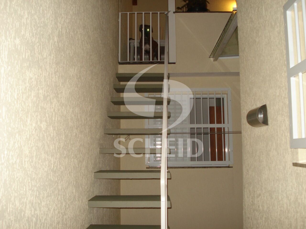 Foto 19