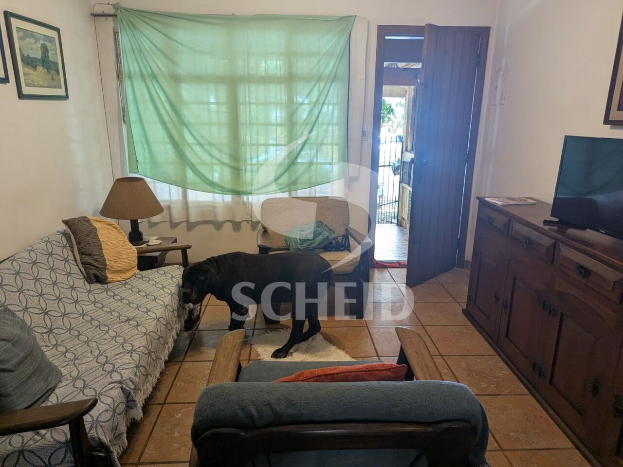 Foto 3