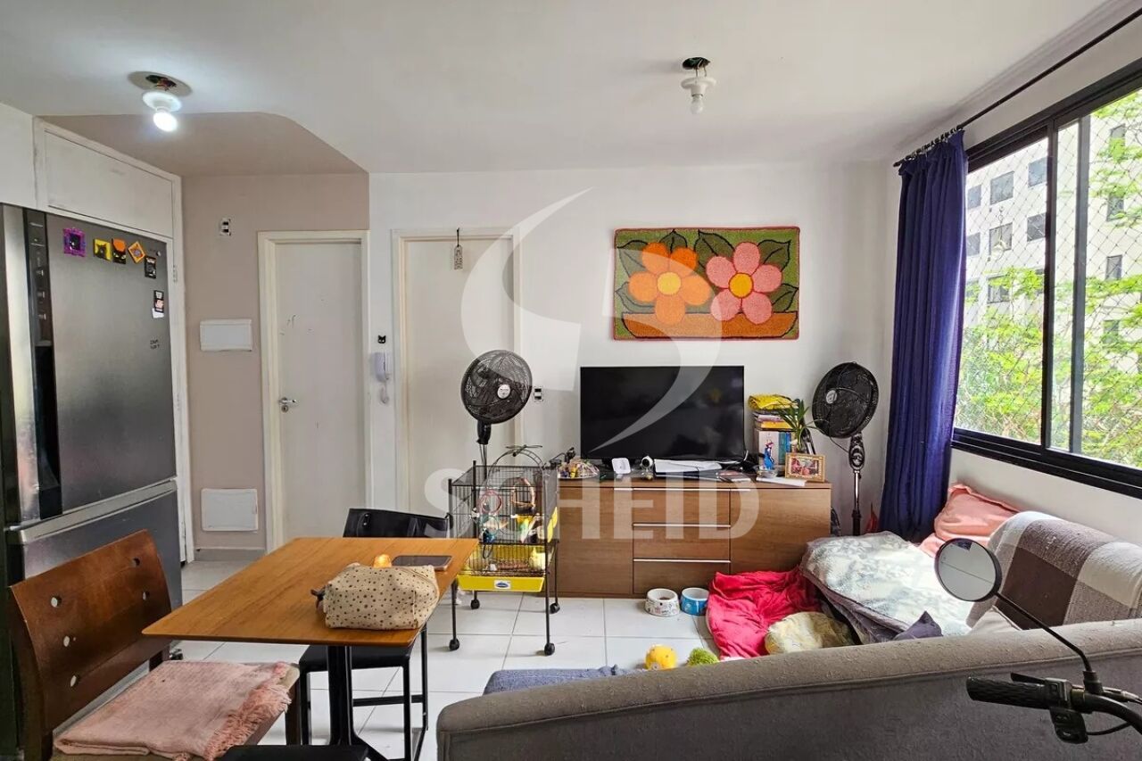 Foto 1