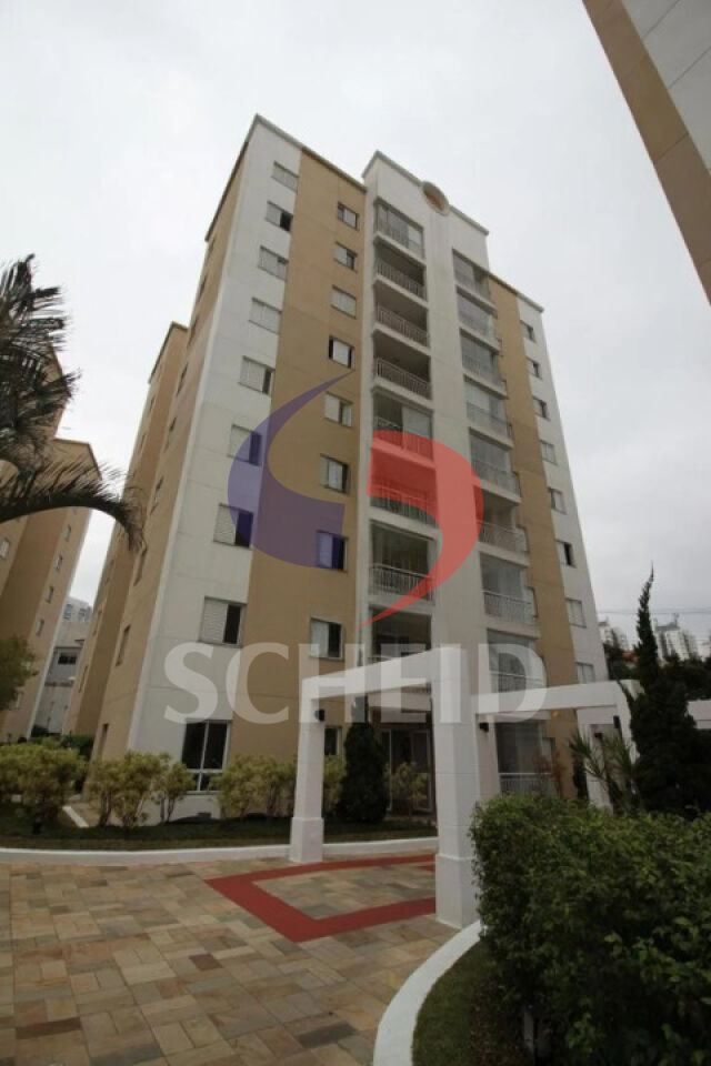 Foto 42