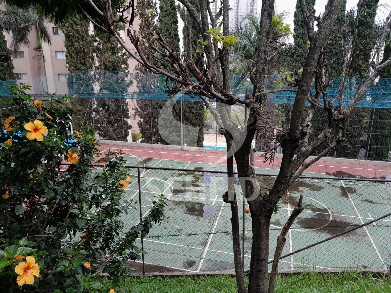 Foto 30