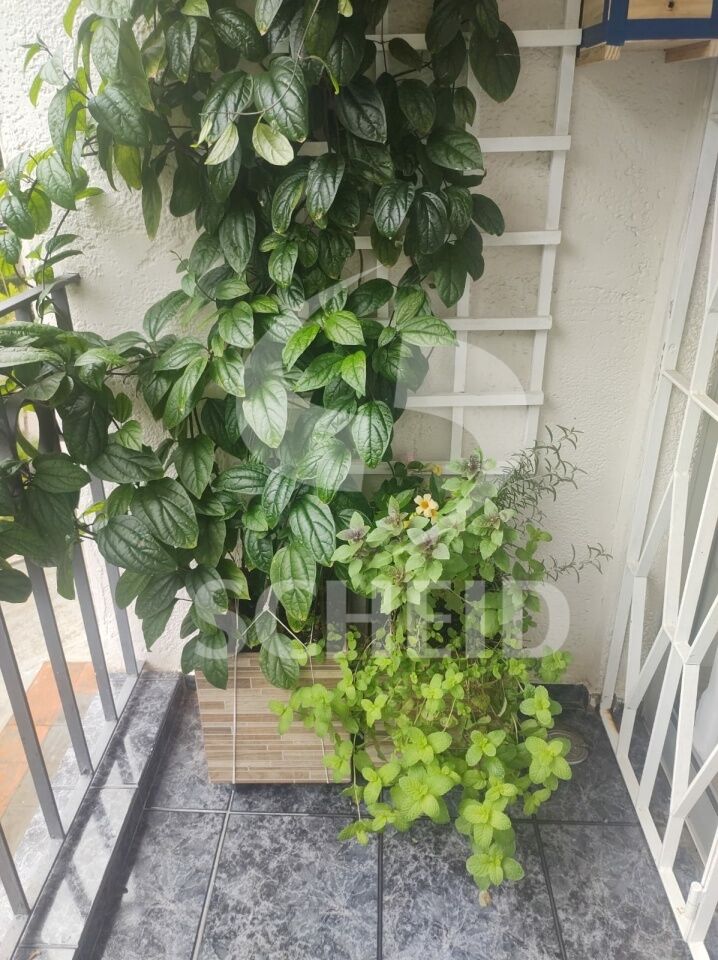 Foto 15