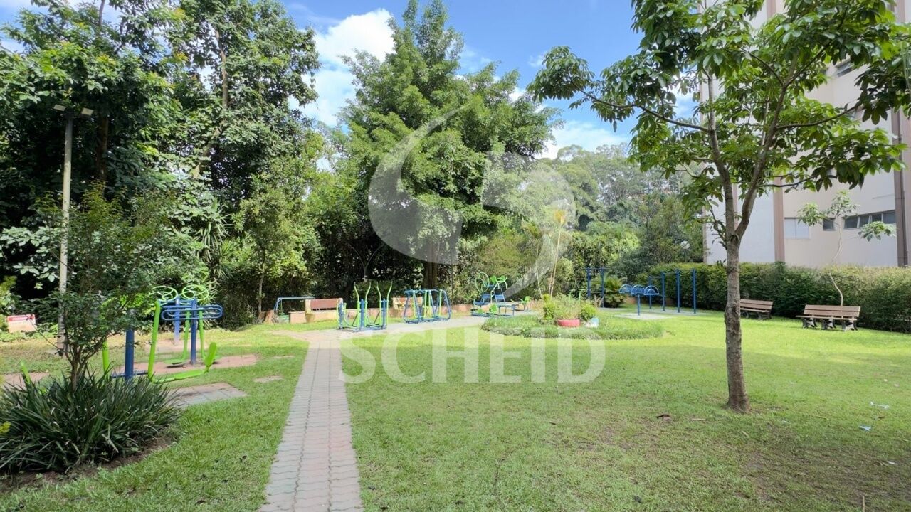 Foto 19