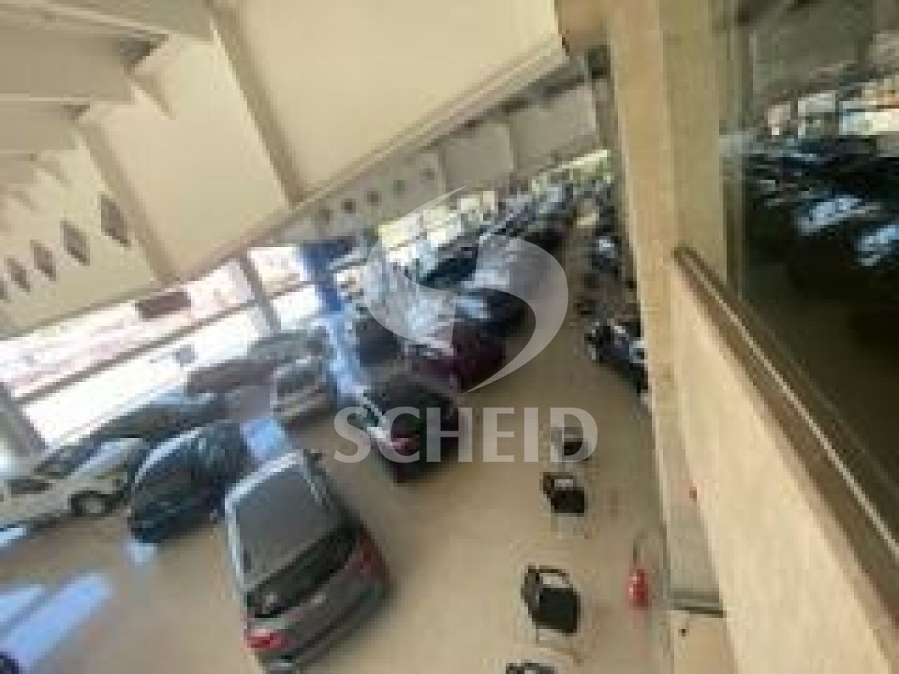 Foto 12