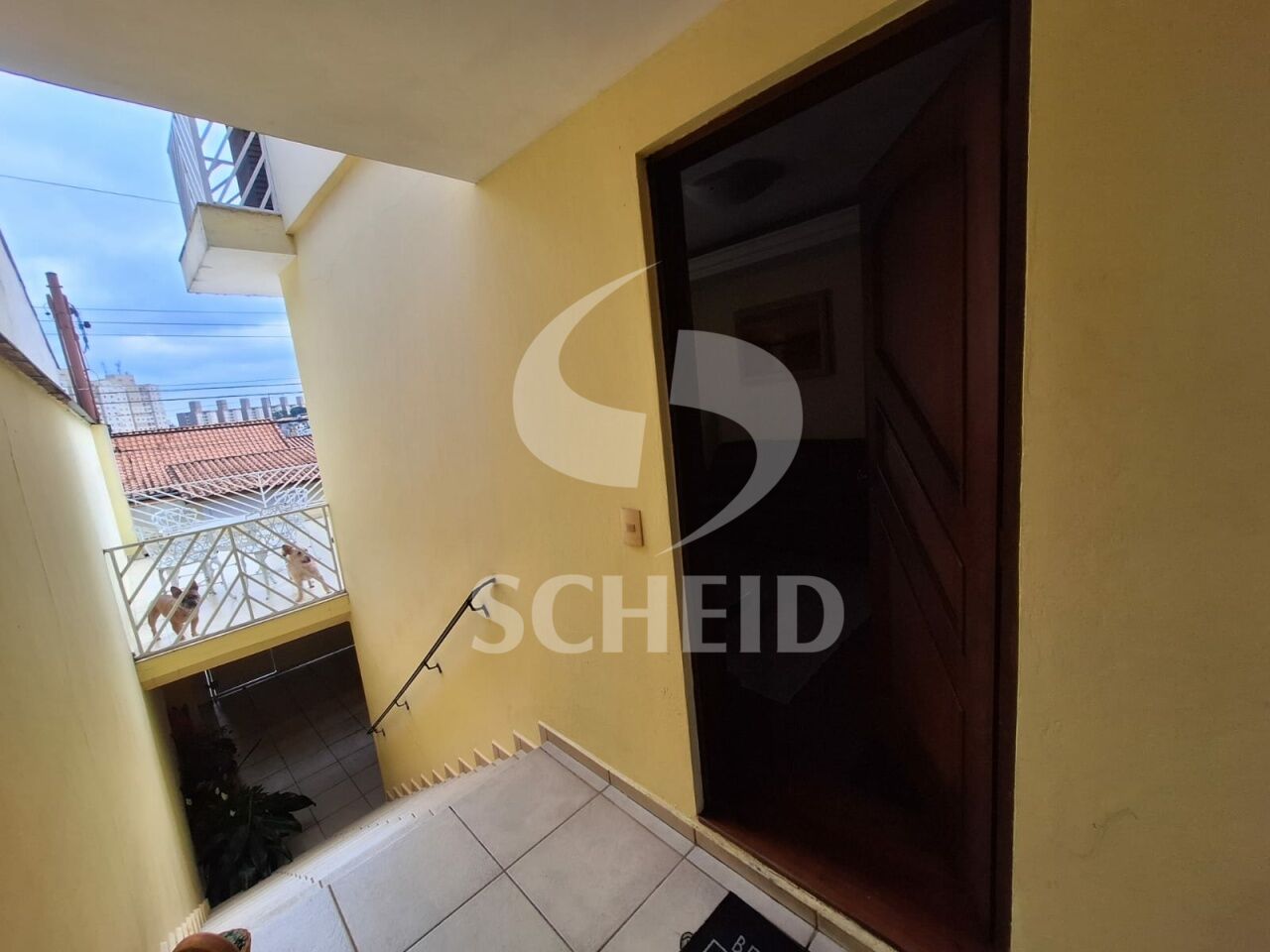Foto 43