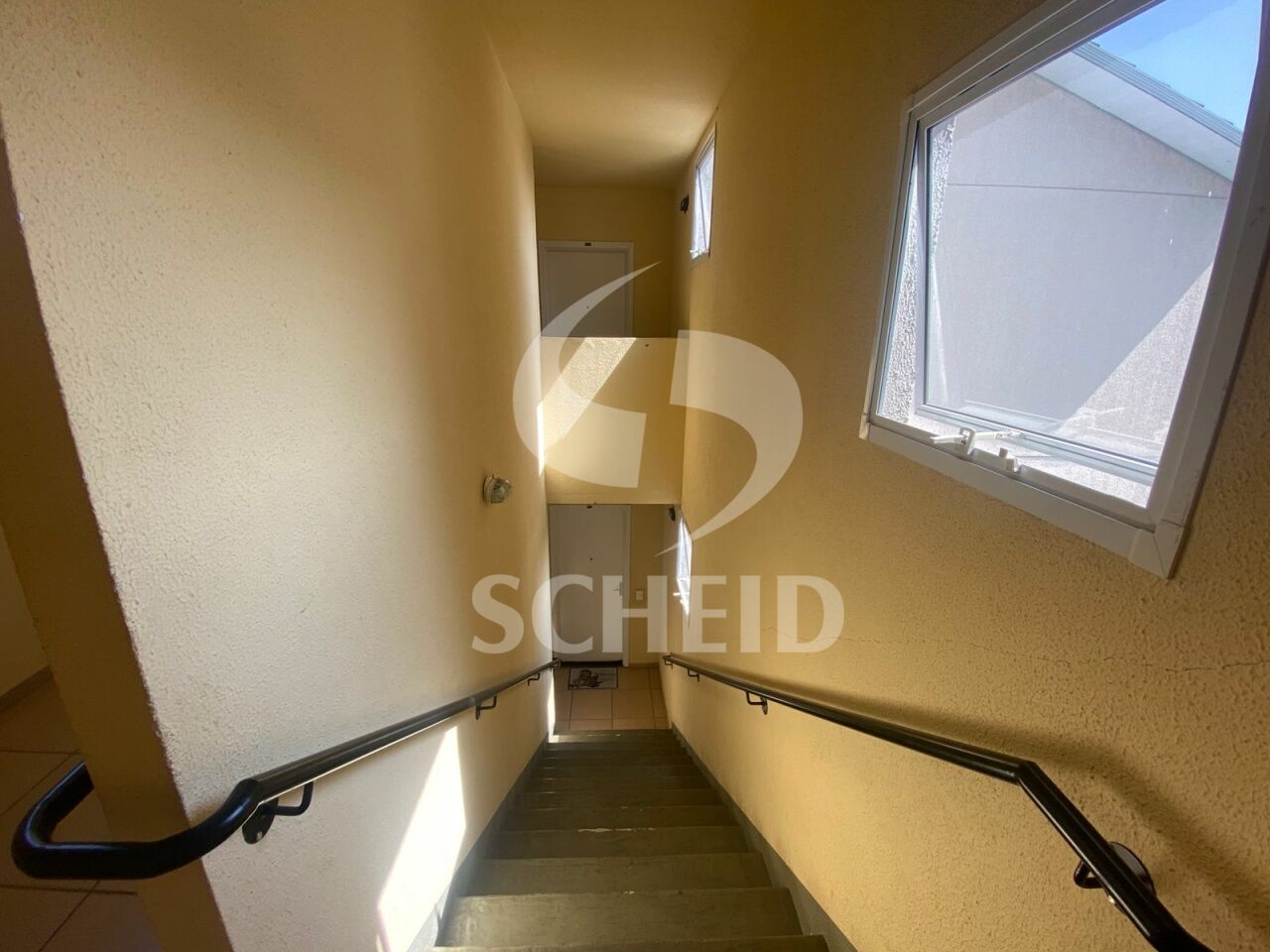 Foto 19