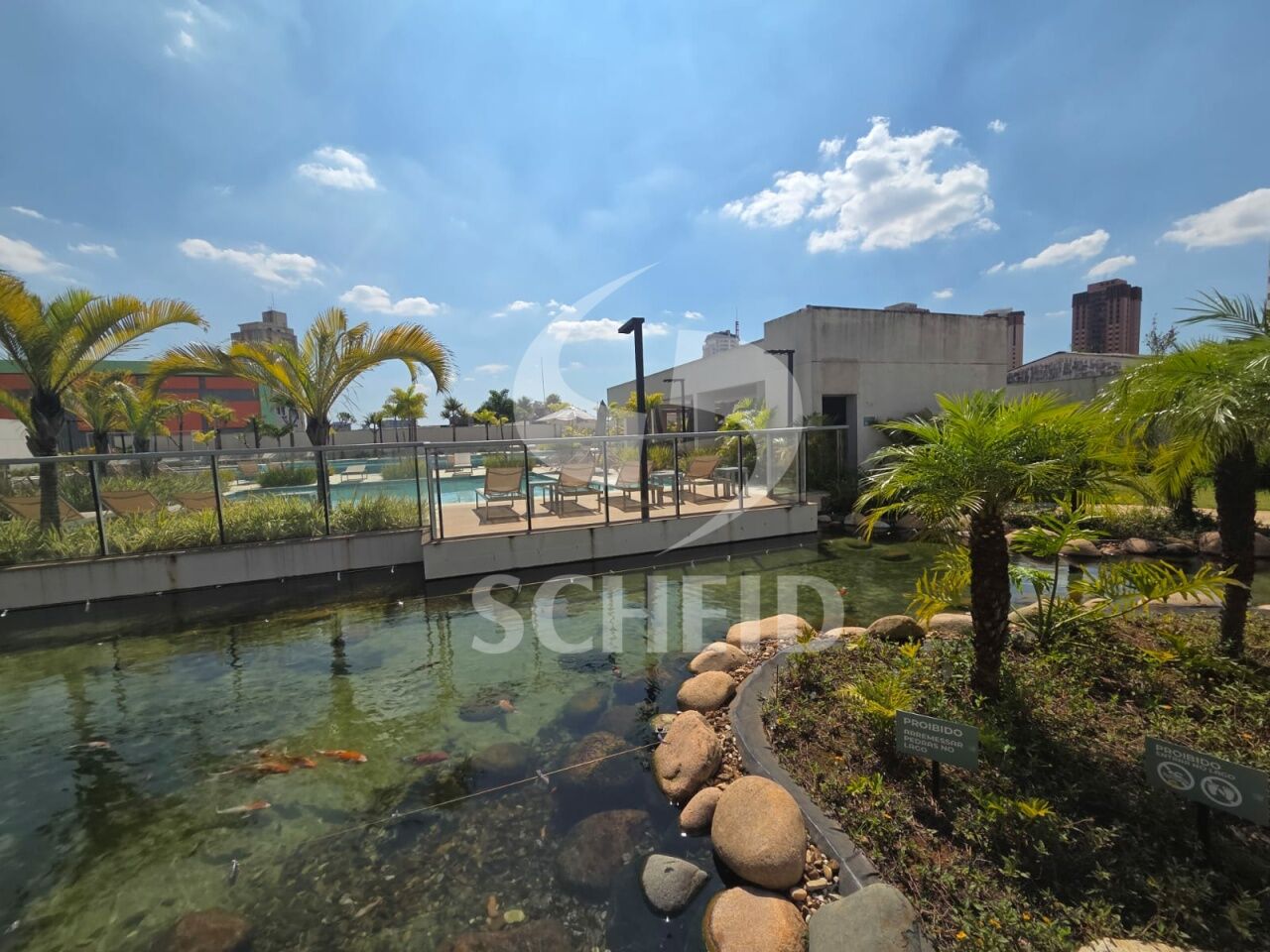 Foto 41
