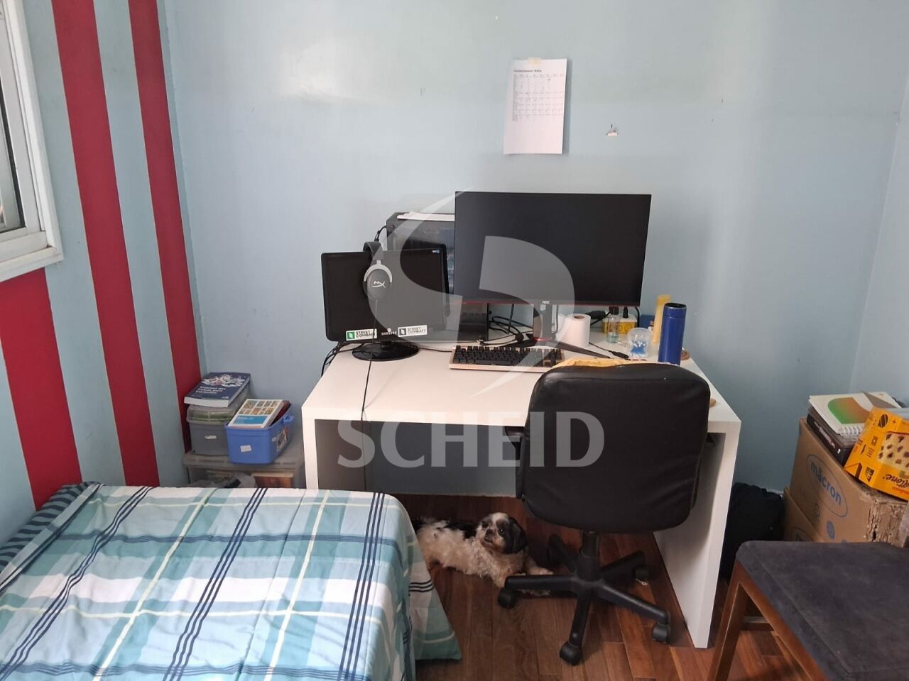 Foto 11