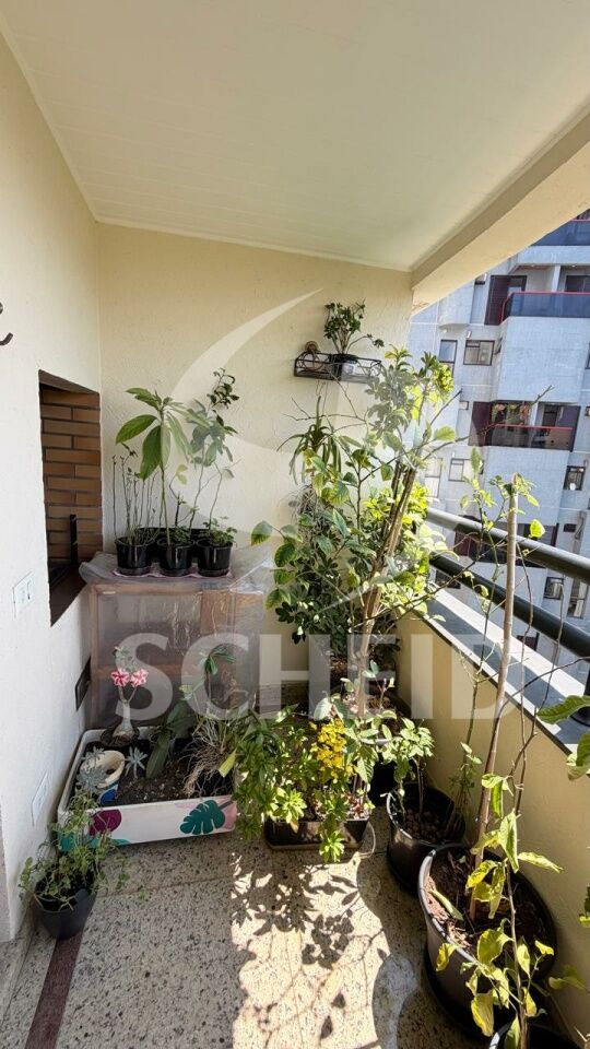 Foto 8