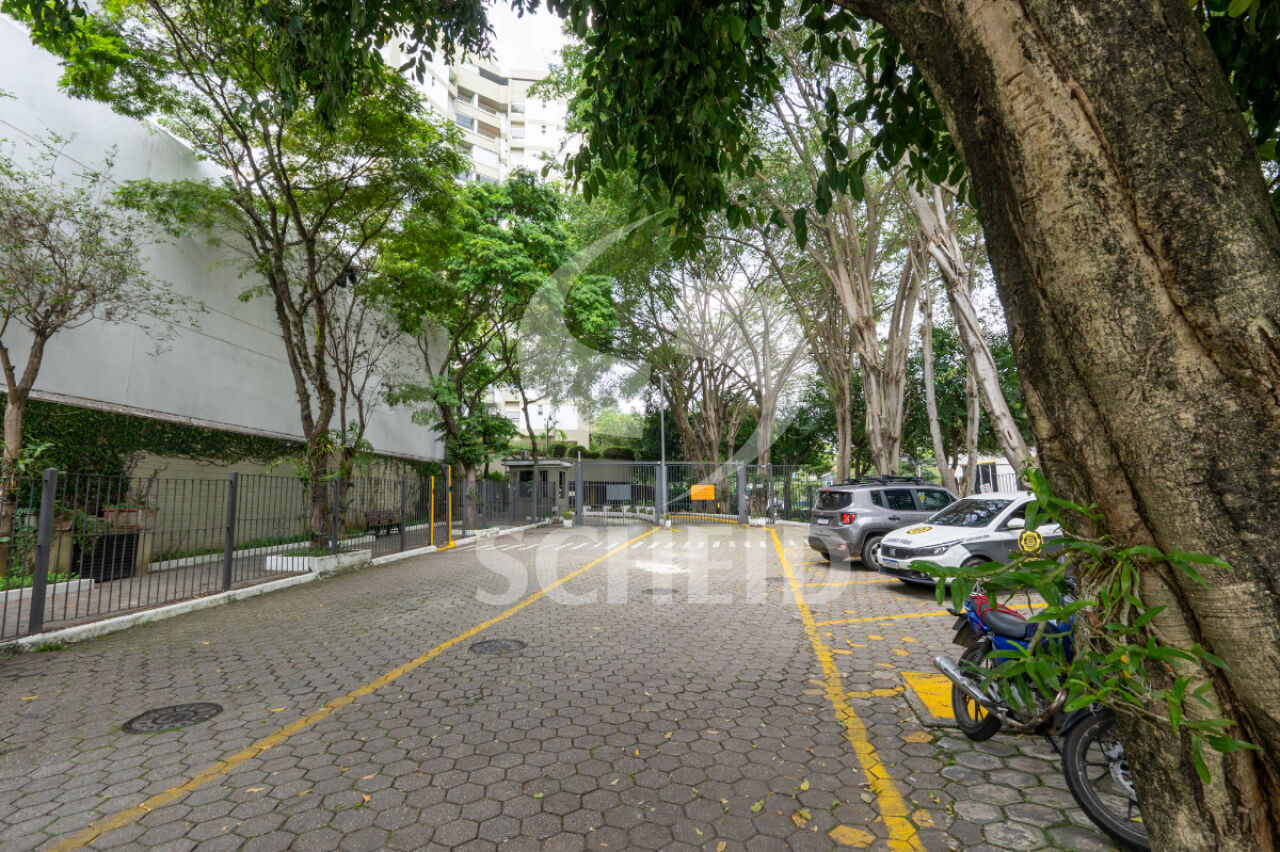 Foto 41