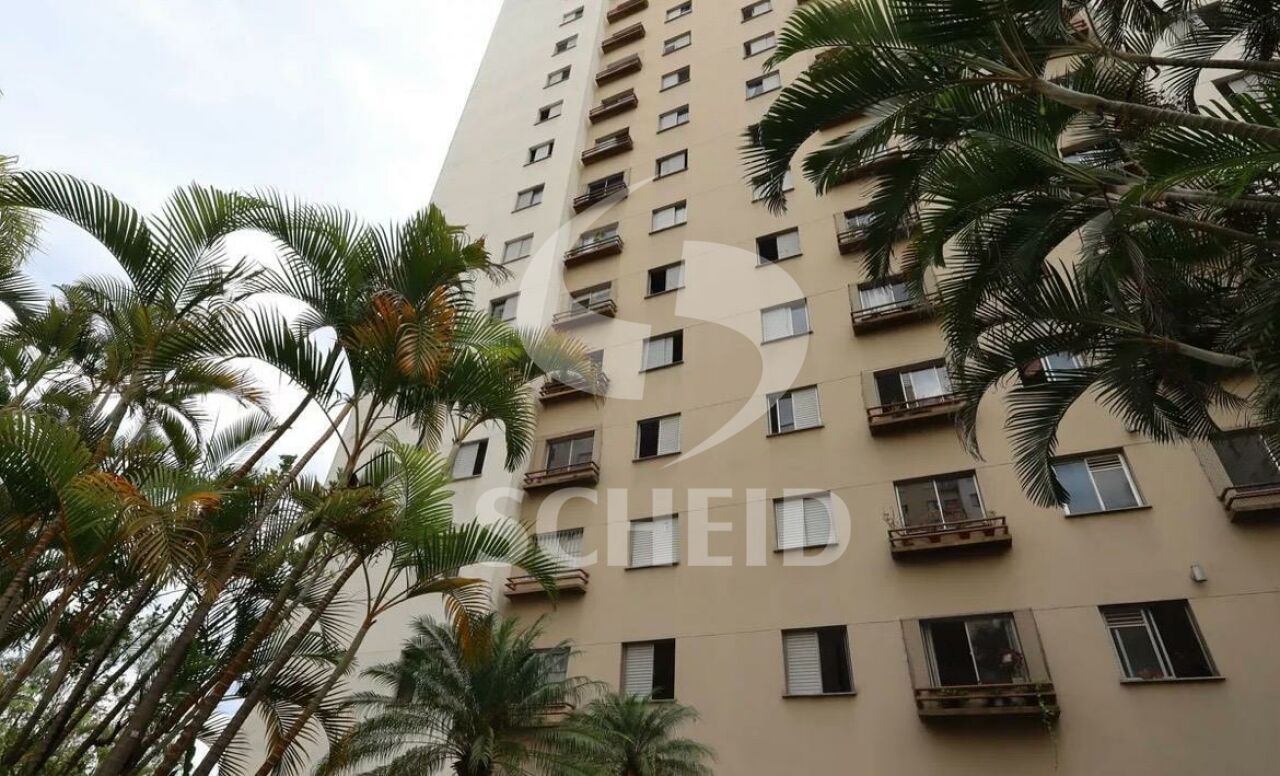 Foto 38
