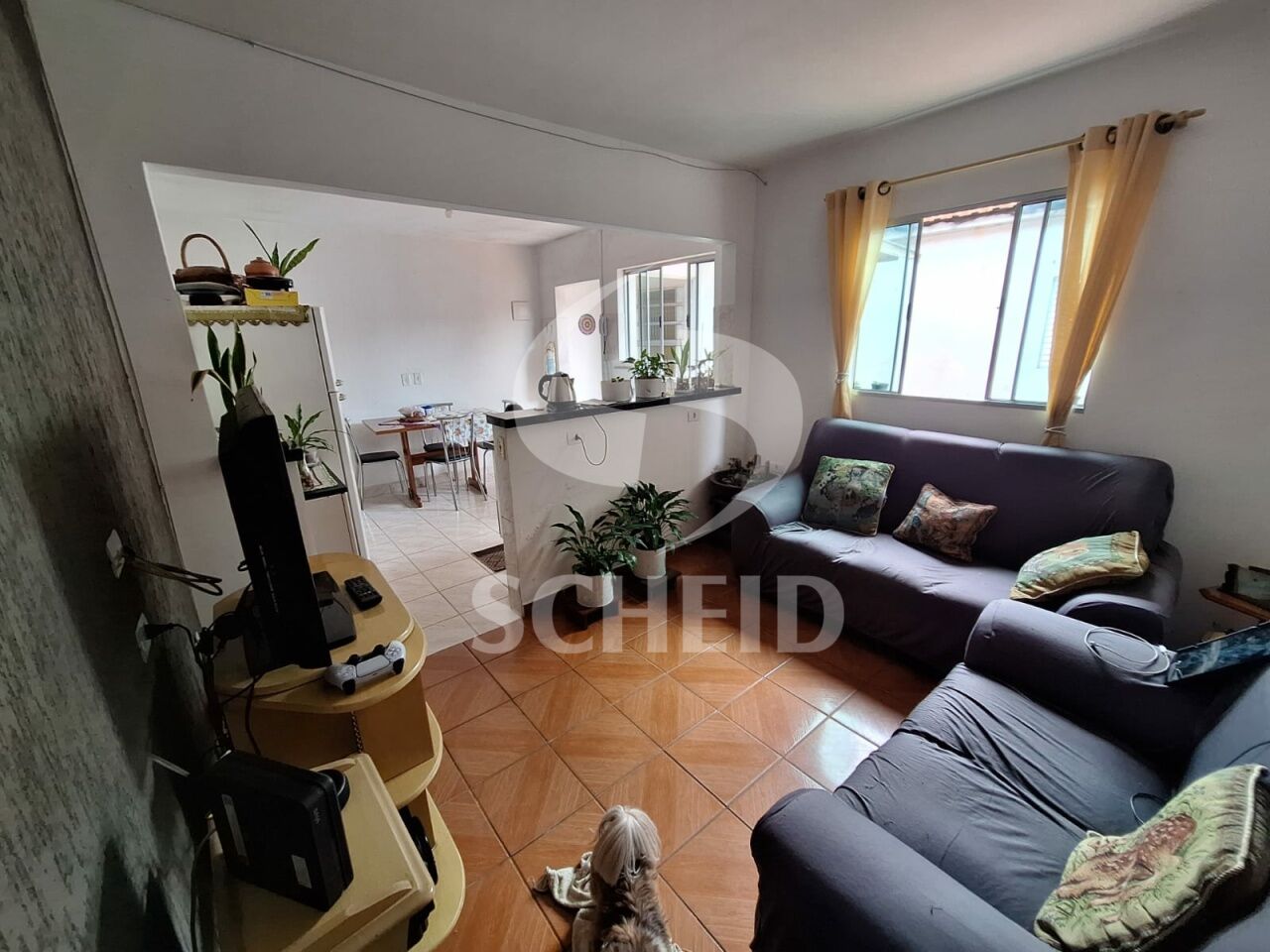 Foto 26