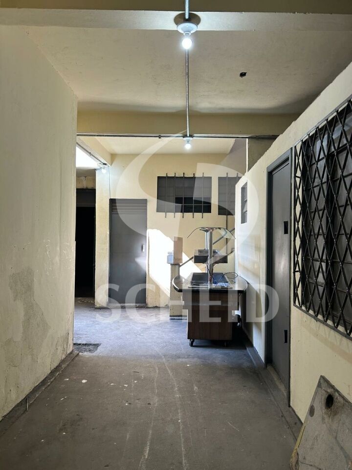 Foto 24