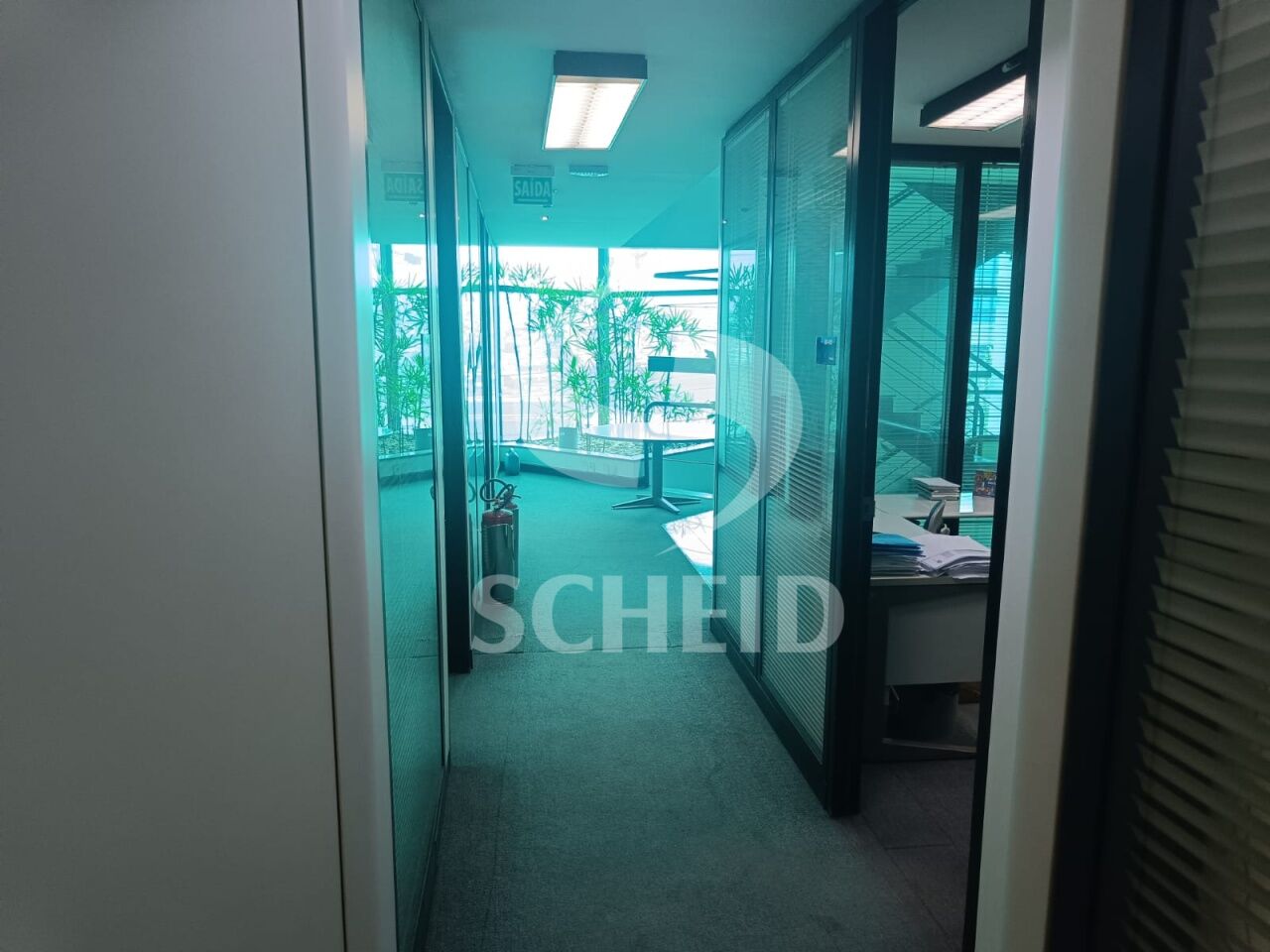 Foto 11