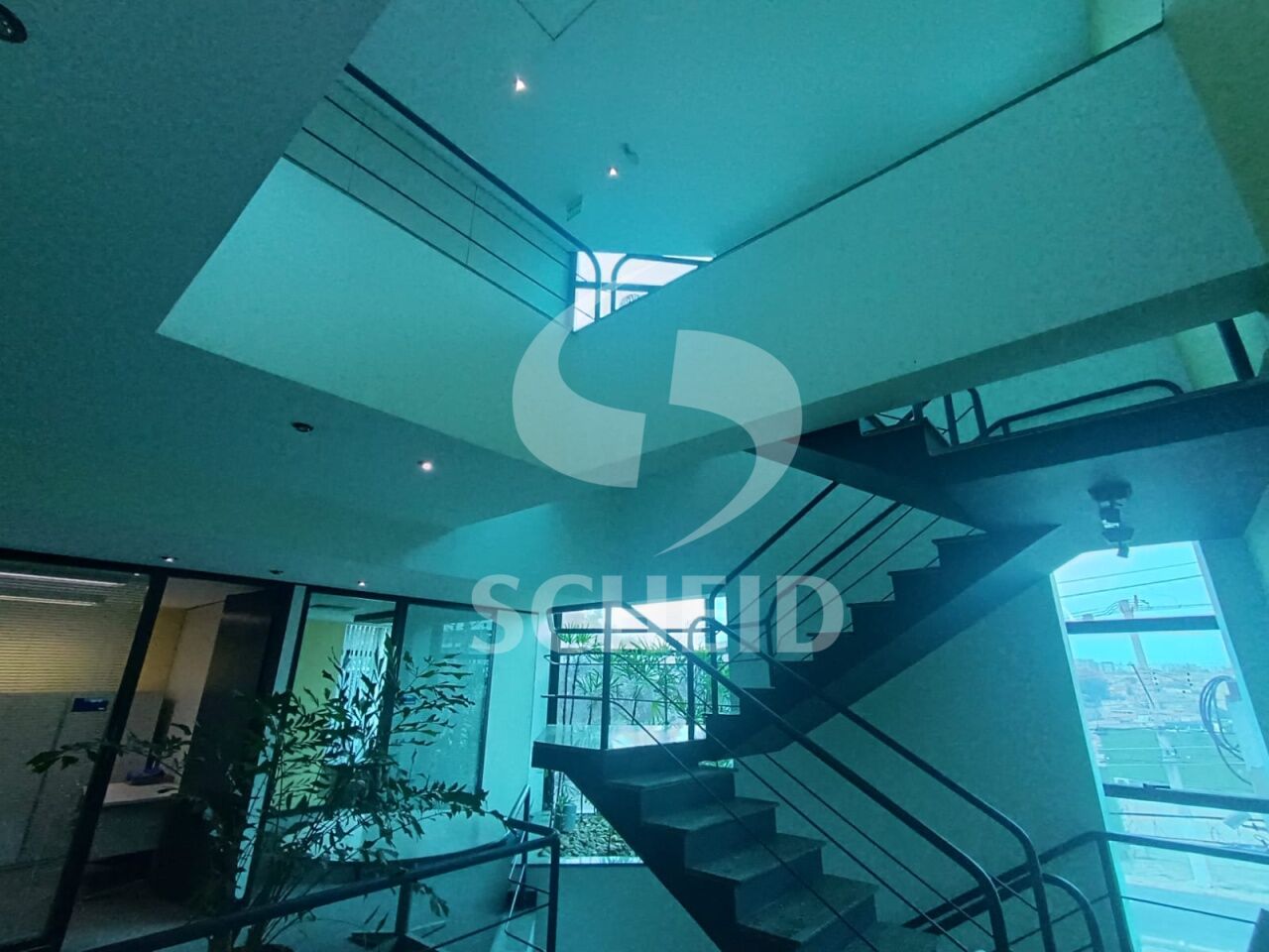Foto 12