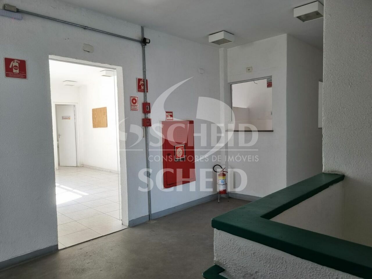 Foto 9