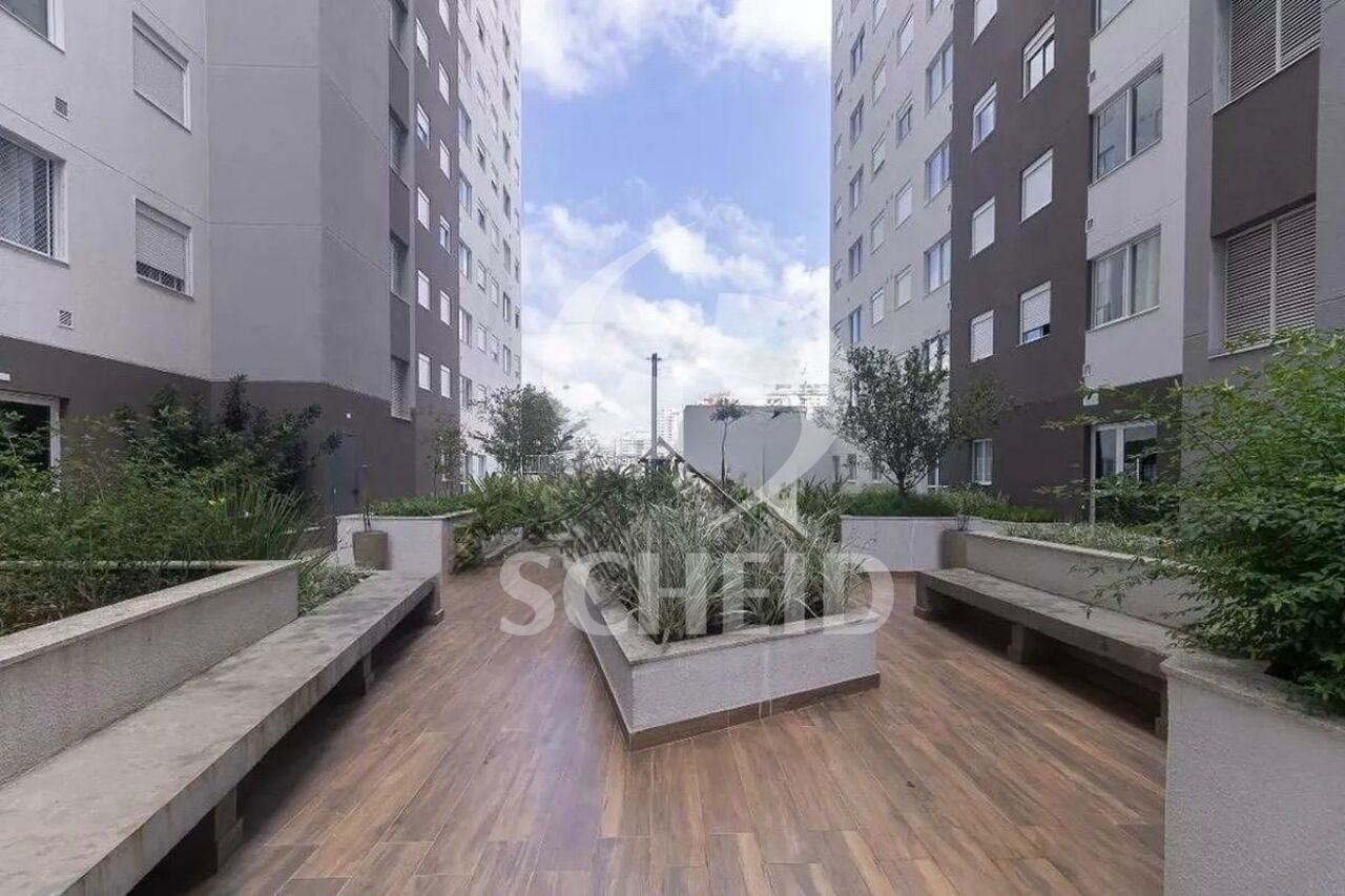 Foto 41