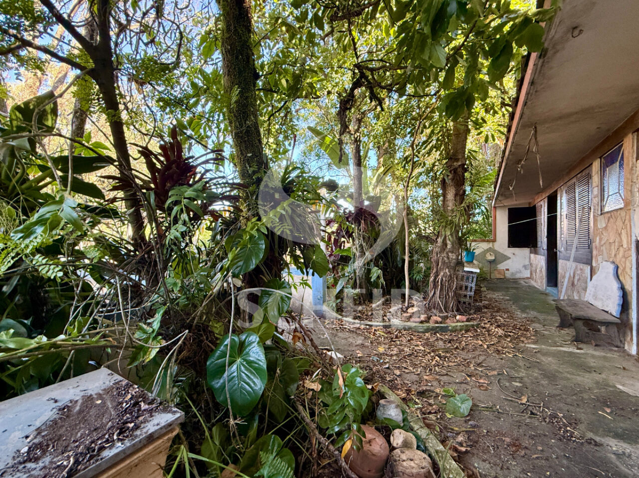 Foto 46