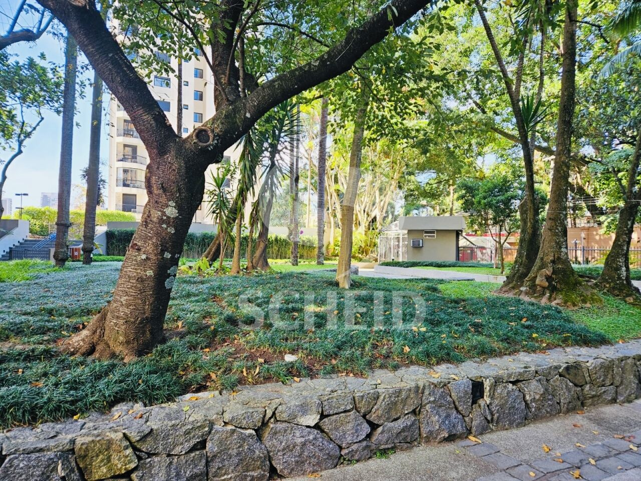 Foto 19