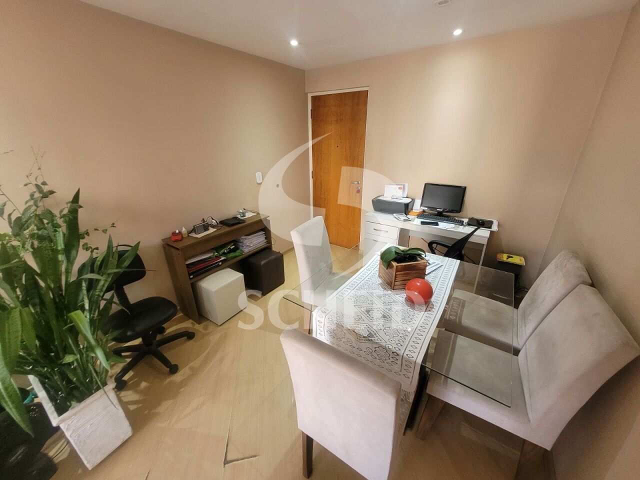 Foto 7