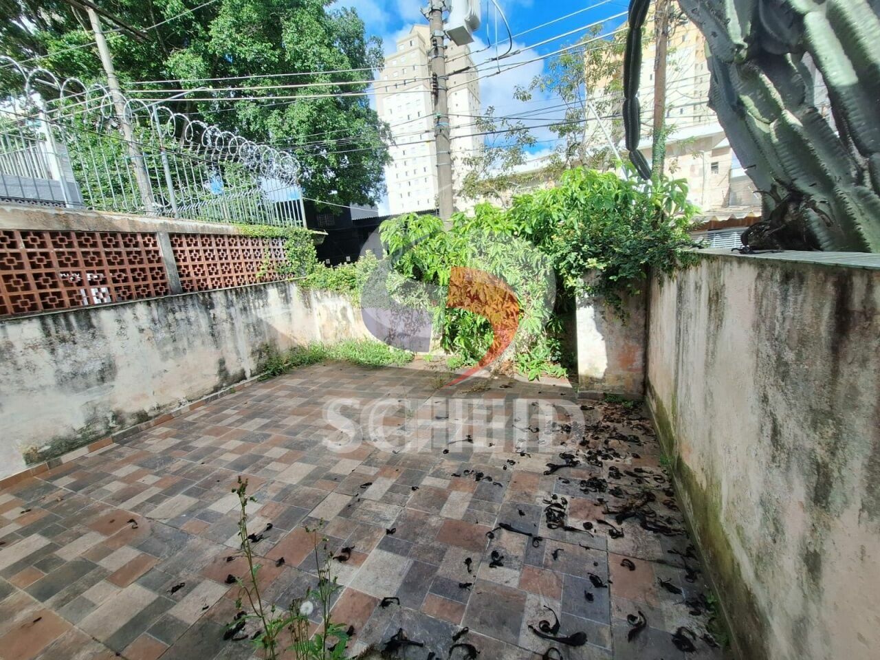 Foto 47