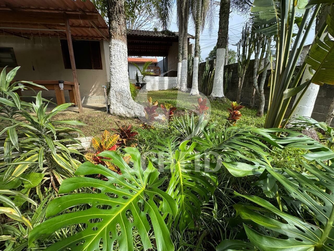Foto 43