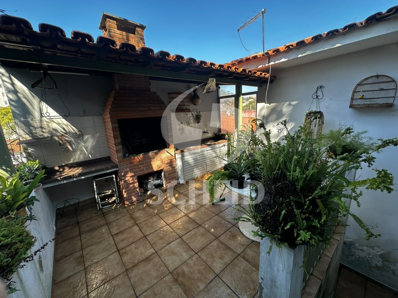 Foto 21